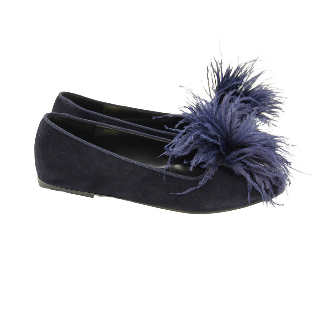Ballerina Notte Federn
