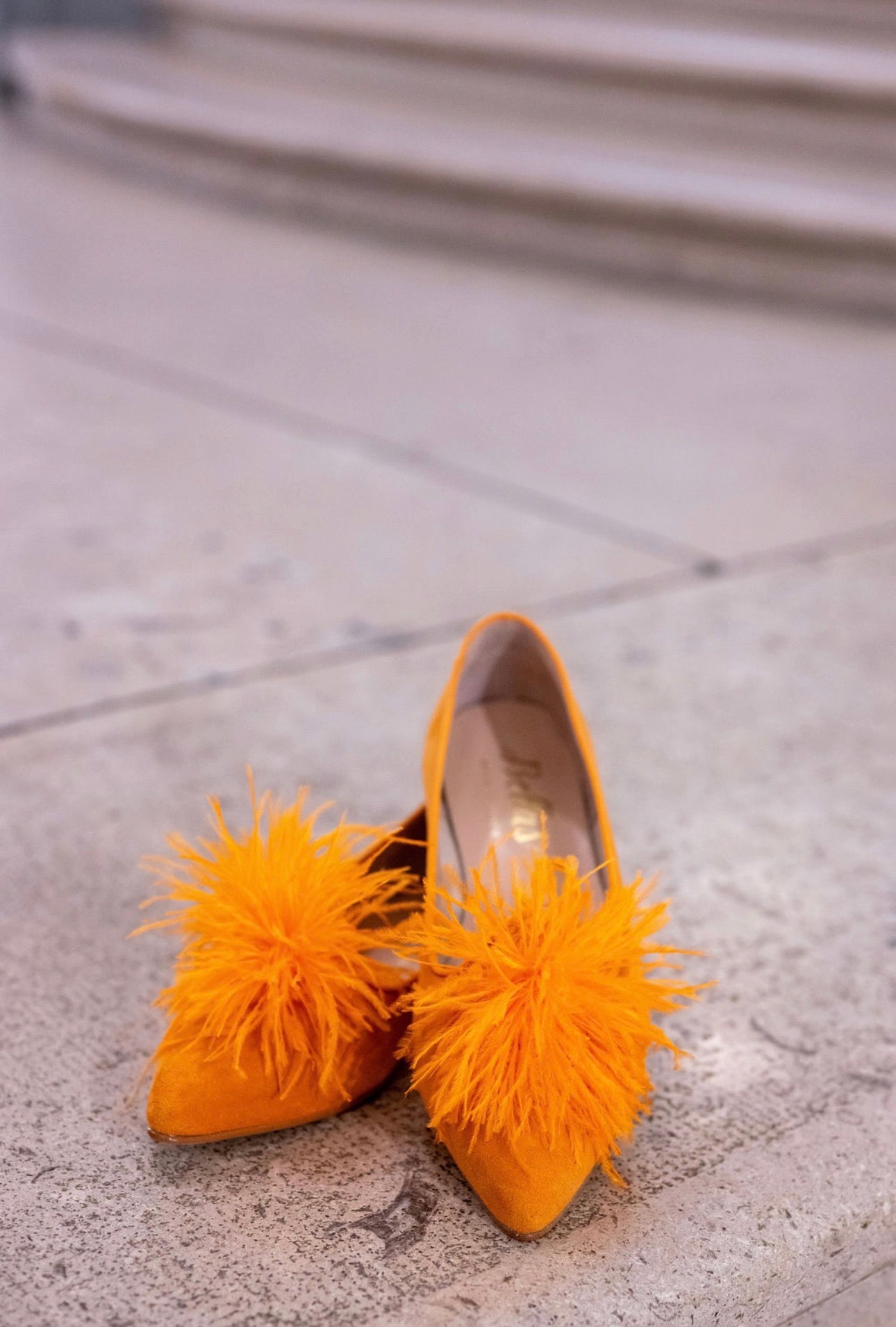 Arancio Federn Pointy