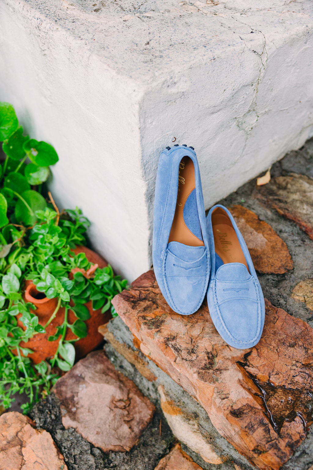 Moccasin Valencia Serenity