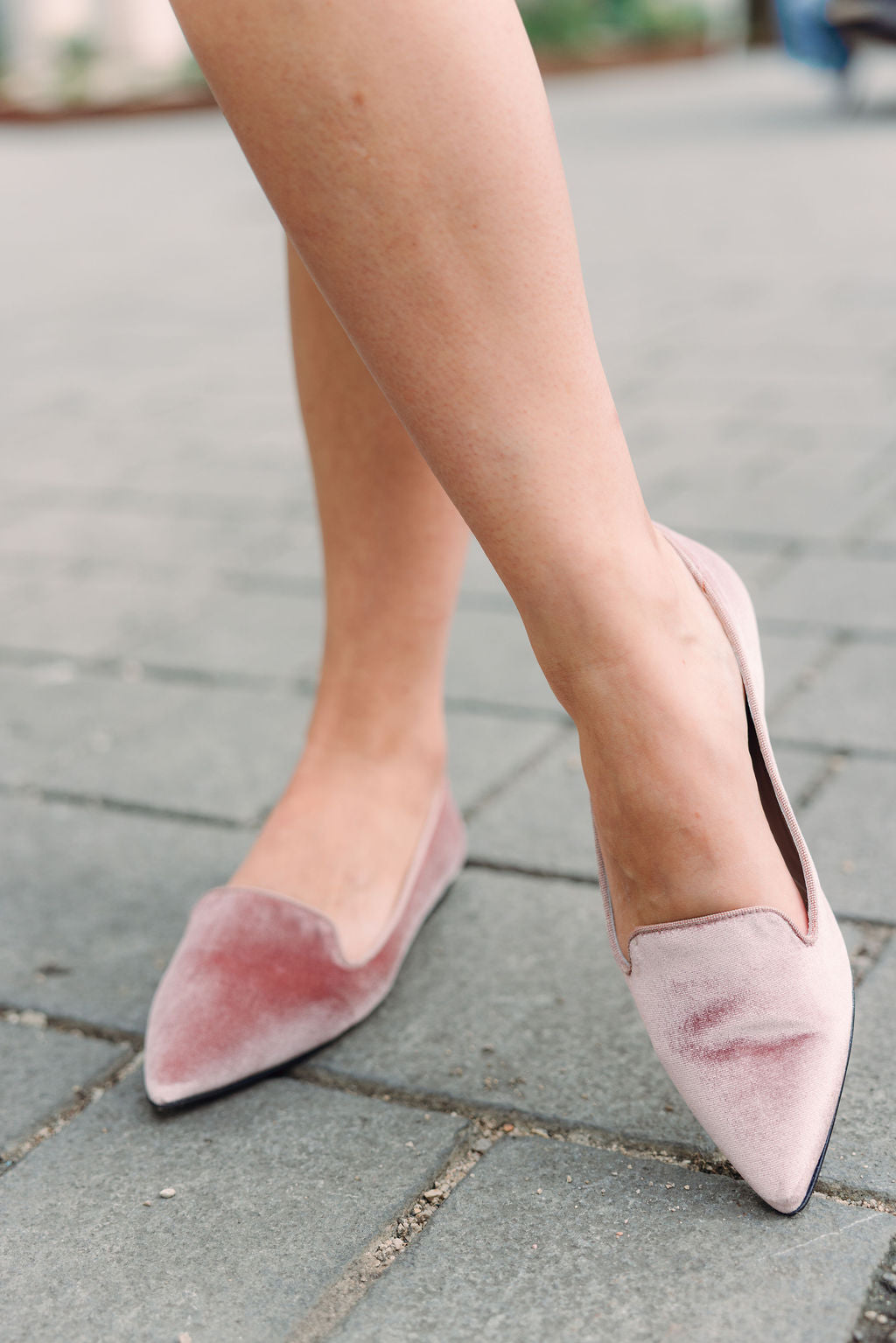 Velvet Rose Pointy